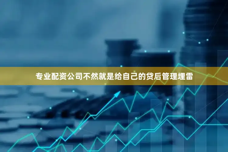 专业配资公司不然就是给自己的贷后管理埋雷
