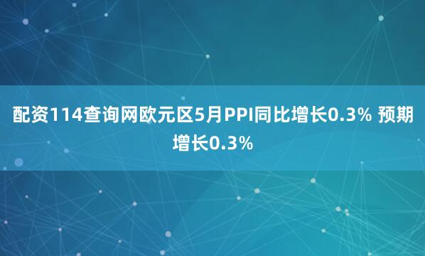 配资114查询网欧元区5月PPI同比增长0.3% 预期增长0.3%