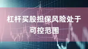 杠杆买股担保风险处于可控范围