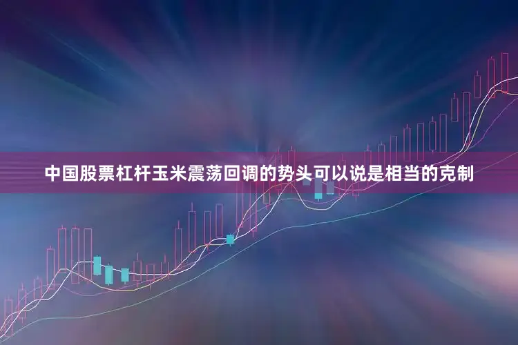 中国股票杠杆玉米震荡回调的势头可以说是相当的克制