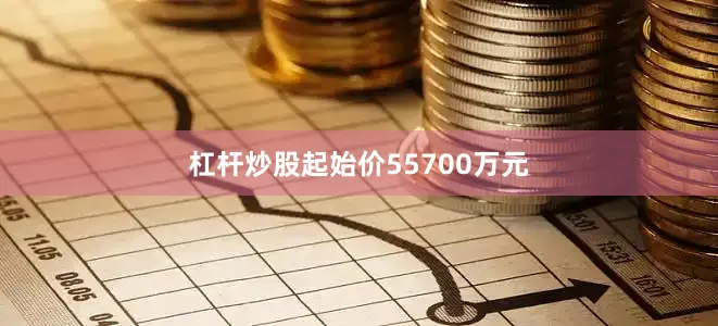 杠杆炒股起始价55700万元